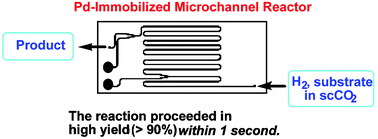 Graphical abstract: Hydrogenation reactions using scCO2 as a solvent in microchannel reactors