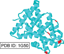 Graphical abstract: Identification of the estrogen receptor Cd-binding sites by chemical modification