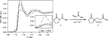 Graphical abstract: Investigations into the metal species of the homogeneous iron(iii) catalyzed Michael addition reactions