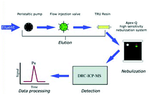 Graphical abstract: Rapid determination of plutonium in urine using flow injection on-line preconcentration and inductively coupled plasma mass spectrometry