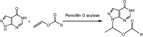 Graphical abstract: Penicillin G acylase catalyzed Markovnikov addition of allopurinol to vinyl ester