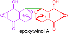 Graphical abstract: Epoxytwinol A, a novel unique angiogenesis inhibitor with C2 symmetry, produced by a fungus