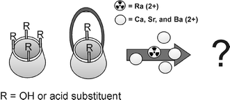 Graphical abstract: Thiacalix[4]arene derivatives as radium ionophores: a study on the requirements for Ra2+ extraction