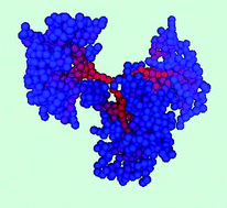 Graphical abstract: Intrinsic viscosity of dendrimers via equilibrium molecular dynamics