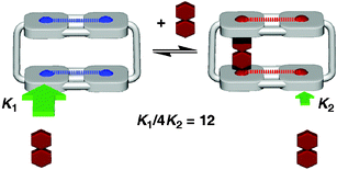 Graphical abstract: Cyclic dimer of a fused porphyrin zinc complex as a novel host with two π-electronically coupled binding sites