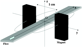 Graphical abstract: Improving agglutination tests by working in microfluidic channels