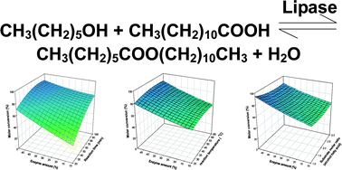 Graphical abstract: Optimal lipase-catalyzed formation of hexyl laurate