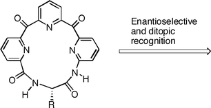 Graphical abstract: Polyfunctionalized macrocycles demonstrate enantioselective and ditopic binding properties