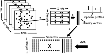 Graphical abstract: Extraction, interpretation and validation of information for comparing samples in metabolic LC/MS data sets