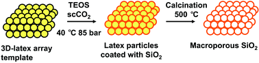 Graphical abstract: Synthesis of ordered macroporous SiO2 in supercritical CO2 using 3D-latex array templates