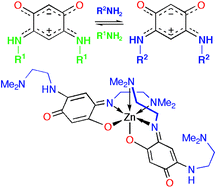 Graphical abstract: First transamination reactions for the one-pot synthesis of substituted zwitterionic quinones