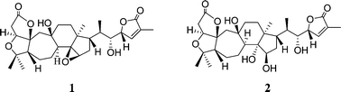 Graphical abstract: Structure and anti-HIV activity of micrandilactones B and C, new nortriterpenoids possessing a unique skeleton from Schisandra micrantha