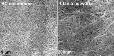 Graphical abstract: Synthesis of mesoporous titania networks consisting of anatase nanowires by templating of bacterial cellulose membranes