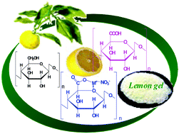 Graphical abstract: Characterization of adsorption gels prepared from plant biomaterials