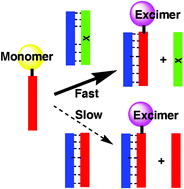 Graphical abstract: DNA mismatch detection using a pyrene–excimer-forming probe