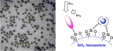 Graphical abstract: Surface modification of silica nanoparticles: a new strategy for the realization of self-organized fluorescence chemosensors