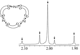 Graphical abstract: Non-trivial behavior of palladium(ii) acetate