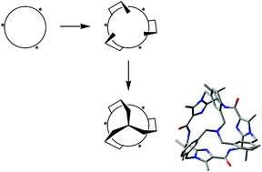 Graphical abstract: A widely applicable concept for predictable induction of preferred configuration in C3-symmetric systems