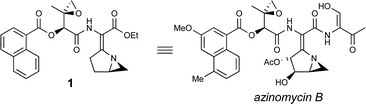 Graphical abstract: On the origin of the DNA sequence selectivity of the azinomycins