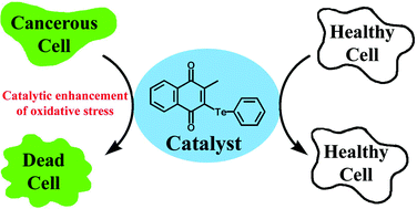 Graphical abstract: Multifunctional redox catalysts as selective enhancers of oxidative stress
