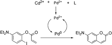 Graphical abstract: Heavy metal analysis using a Heck-catalyzed cyclization to create coumarin