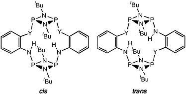 Graphical abstract: Selection of the cis and trans phosph(iii)azane macrocycles [{P(µ-NtBu)}2(1-Y-2-NH-C6H4)]2 (Y = O, S)