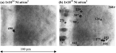 Graphical abstract: Remediation for TXRF saturation effects on microdroplet residues from preconcentration methods on semiconductor wafers