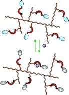 Graphical abstract: Fluorescence quenching amplification in silica nanosensors for metal ions