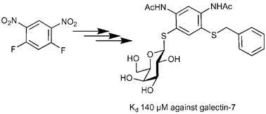 Graphical abstract: Synthesis of a phenyl thio-β-d-galactopyranoside library from 1,5-difluoro-2,4-dinitrobenzene: discovery of efficient and selective monosaccharide inhibitors of galectin-7