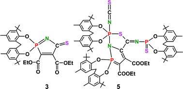 Graphical abstract: Addition products of a P(iii)-isothiocyanate to dialkyl acetylenedicarboxylates: a spirocyclic phosphinimine and a triphosphorus heterocycle with tetra- and penta-coordinate phosphorus