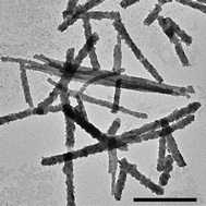 Graphical abstract: Template-directed synthesis of silica-coated J-aggregate nanotapes