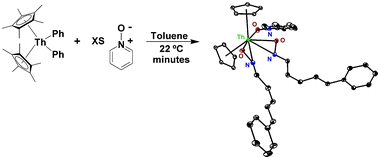 Graphical abstract: Carbon–nitrogen bond cleavage in pyridine ring systems mediated by organometallic thorium(iv) complexes