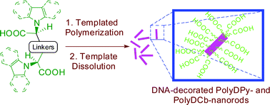 Graphical abstract: Polydipyrrole- and polydicarbazole-nanorods as new nanosized supports for DNA hybridization