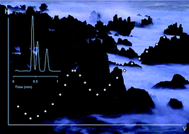 Graphical abstract: Significant viscosity dependent deviations from classical van Deemter theory in liquid chromatography with porous silica monolithic columns