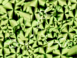 Graphical abstract: Insight into the mesogenic character of 15-membered triolefinic azamacrocycles, and their diolefinic open precursors and Pd(0) complexes