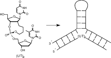 Graphical abstract: Stabilisation of a nucleic acid three-way junction by an oligonucleotide containing a single 2′-C to 3′-O-phosphate butylene linkage prepared by a tandem RCM-hydrogenation method