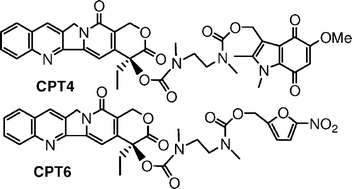 Graphical abstract: Bioreduction activated prodrugs of camptothecin: molecular design, synthesis, activation mechanism and hypoxia selective cytotoxicity