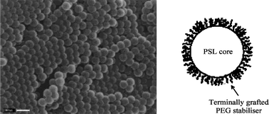 Graphical abstract: Depth profiling of sterically-stabilised polystyrene nanoparticles using laser ablation/ionisation mass spectrometric methods