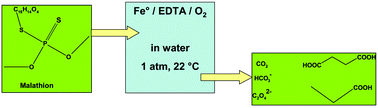 Graphical abstract: Detoxification of malathion a chemical warfare agent analog using oxygen activation at room temperature and pressure