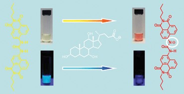 Graphical abstract: A two-channel chemosensor for the optical detection of carboxylic acids, including cholic acid