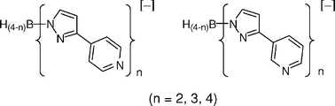 Graphical abstract: New bis-, tris- and tetrakis(pyrazolyl)borate ligands with 3-pyridyl and 4-pyridyl substituents: synthesis and coordination chemistry