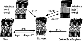 Graphical abstract: Thermotropic phase behaviour of long-chain alkylmaltosides