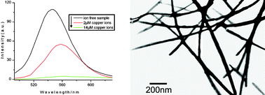Graphical abstract: Highly luminescent water-soluble CdTe nanowires as fluorescent probe to detect copper(ii)