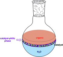 Graphical abstract: Multiphasic heterogeneous catalysis mediated by catalyst-philic liquid phases