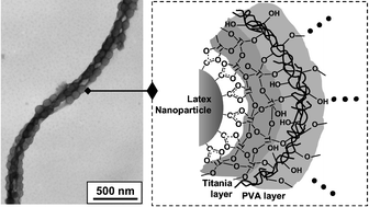 Graphical abstract: Latex particle-encapsulated titania/polymer composite nanotubings: free-standing, one-dimensional package of colloidal particles