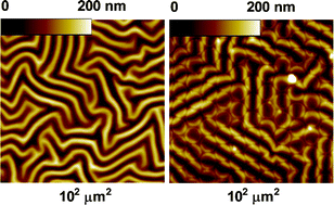 Graphical abstract: Coupling of wrinkle patterns to microsphere-array lithographic patterns