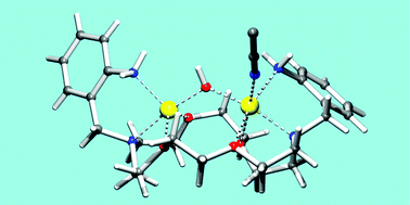 Graphical abstract: Designing binuclear transition metal complexes: a new example of the versatility of N,N′-bis(2-aminobenzyl)-4,13-diaza-18-crown-6