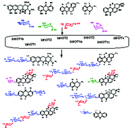 Graphical abstract: Glycosyltransferases involved in the biosynthesis of biologically active natural products that contain oligosaccharides