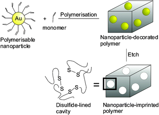 Graphical abstract: Au nanoparticle-imprinted polymers