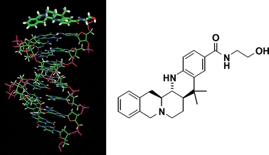 Graphical abstract: Synthesis and DNA binding properties of novel benzo[b]isoquino[2,3-h]-naphthyridines